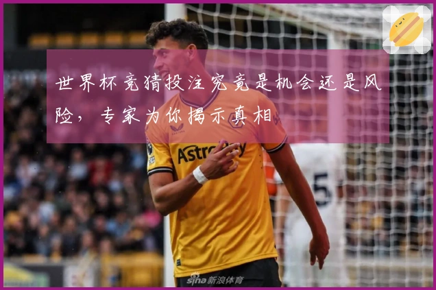 世界杯竞猜投注究竟是机会还是风险，专家为你揭示真相