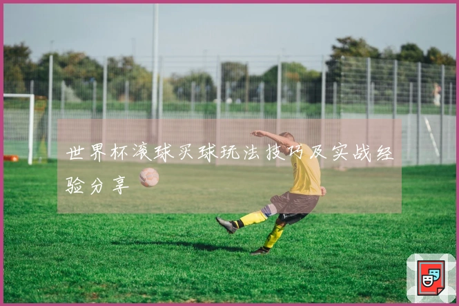 世界杯滚球买球玩法技巧及实战经验分享
