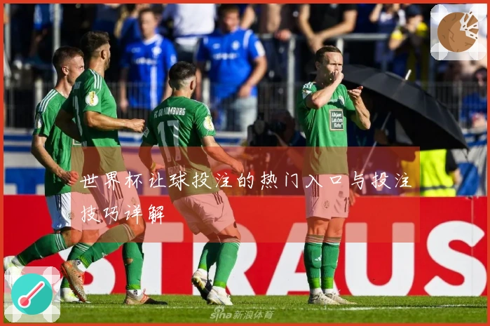 世界杯让球投注的热门入口与投注技巧详解