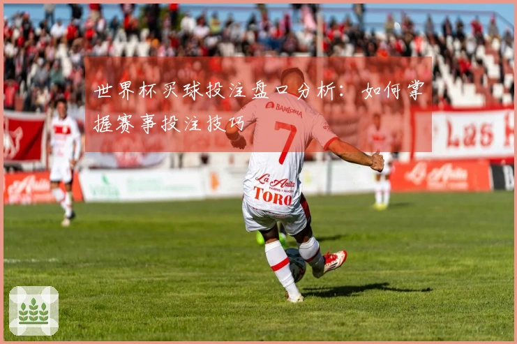 世界杯买球投注盘口分析：如何掌握赛事投注技巧