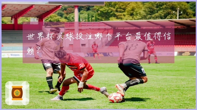 世界杯买球投注哪个平台最值得信赖？