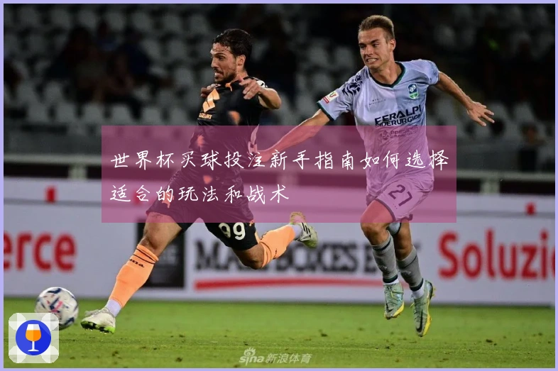 世界杯买球投注新手指南如何选择适合的玩法和战术