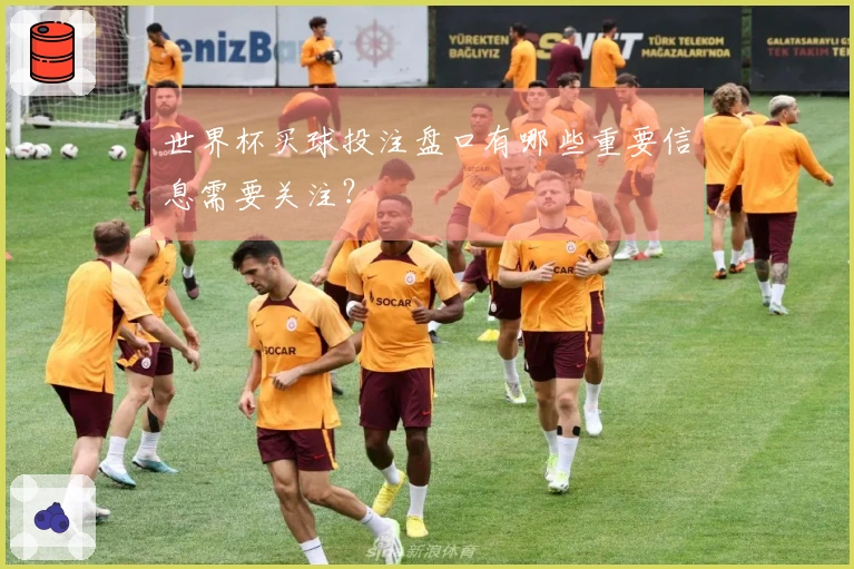 世界杯买球投注盘口有哪些重要信息需要关注？